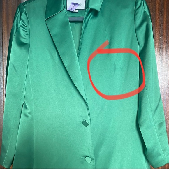 Alexis Oskari Blazer Dress - Picture 8 of 8